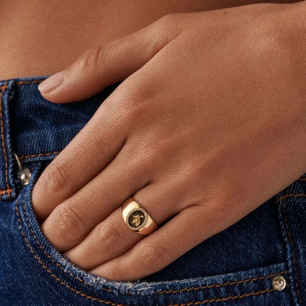 Anillo Fino Pombo Negro/Oro 02280051-270