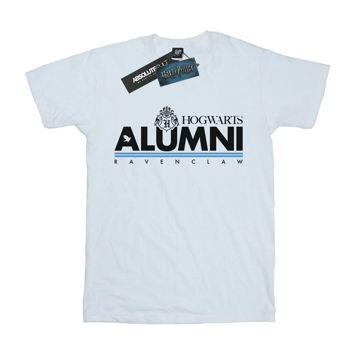 Hogwarts Alumni Ravenclaw